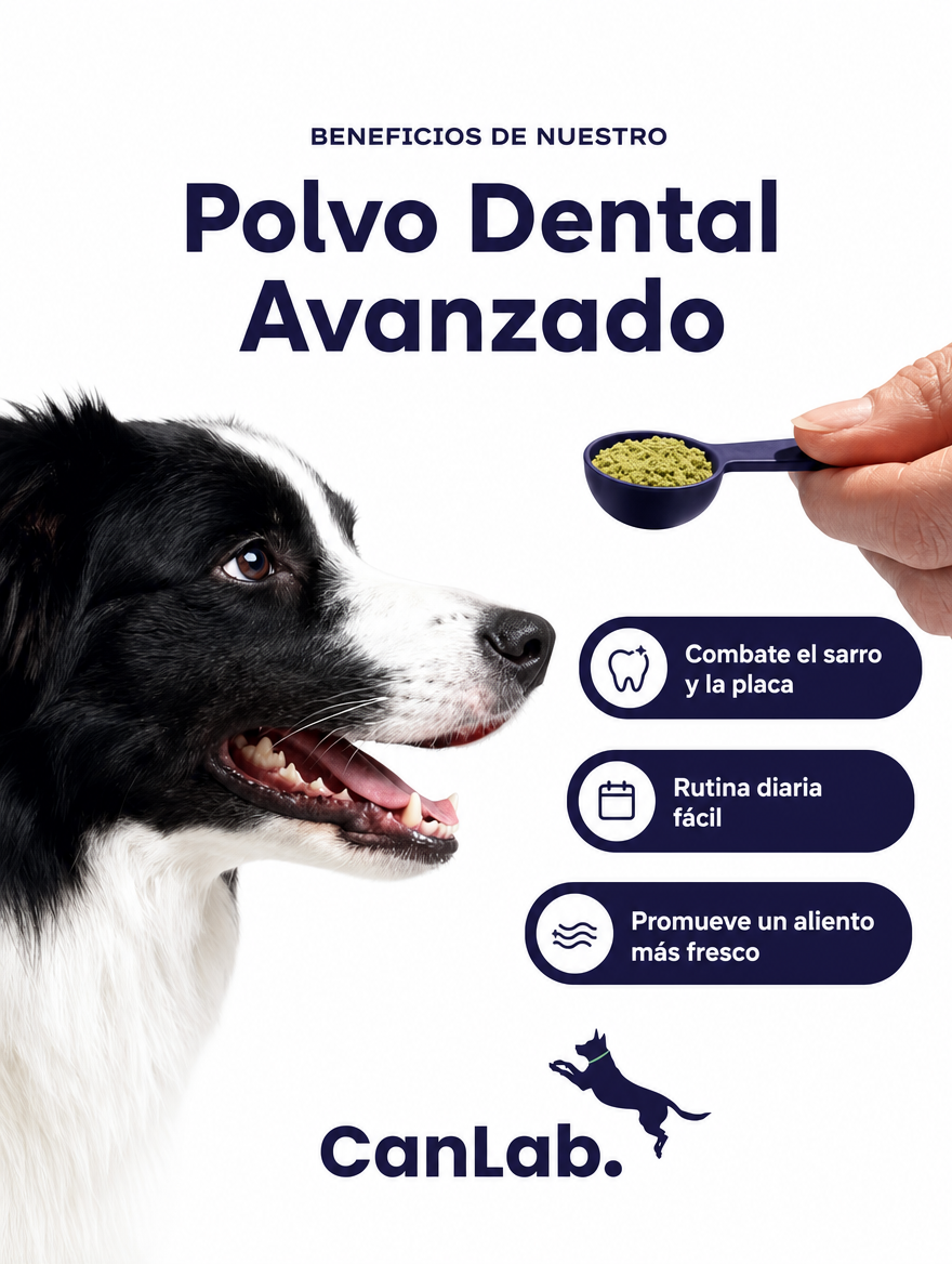 CanLab · Polvo Dental Avanzado para Perros